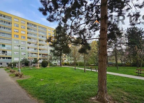 Prodaný byt 2+kk 46 m²