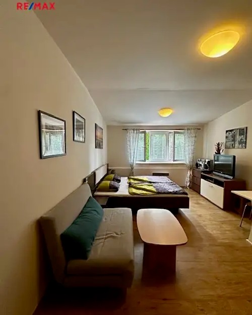 Prodaný byt 1+kk 29 m²