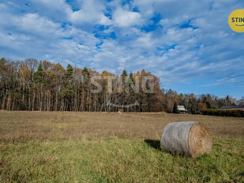 Prodej stavebního pozemku 1000 m²