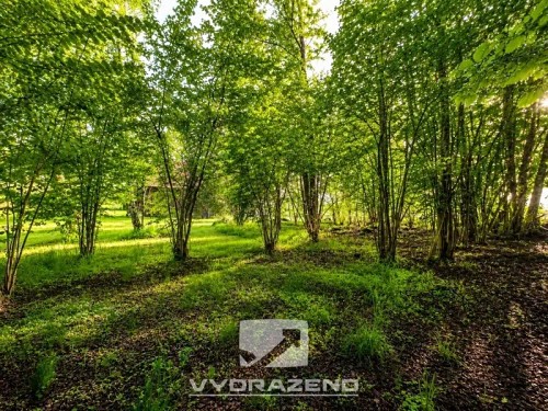 Prodej stavebního pozemku 458 m²