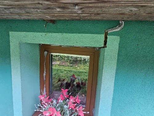 Prodej domu 72 m², pozemek 554 m²