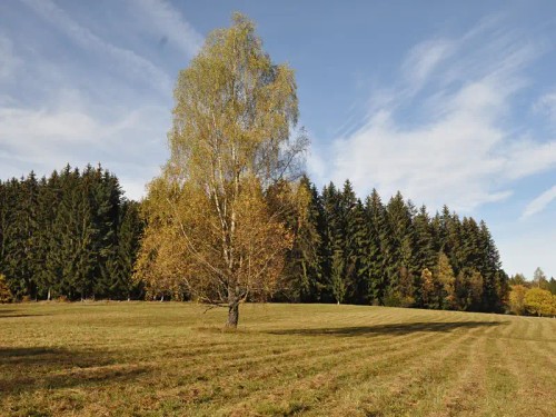 Prodej bytu 2+kk 35 m²