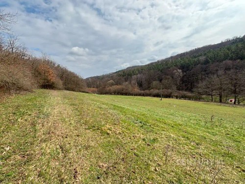 Prodej stavebního pozemku 9737 m²