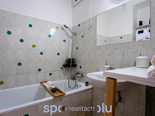 Prodaný byt 1+1 55 m²