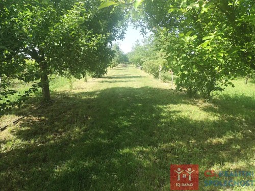 Prodej stavebního pozemku 3609 m²