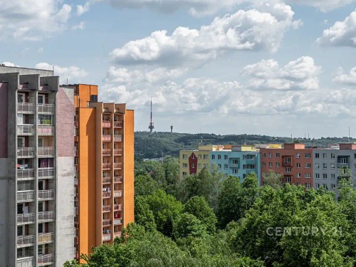 Prodej bytu 3+1 65 m²