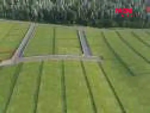 Prodej stavebního pozemku 808 m²