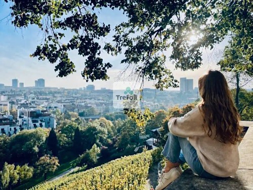 Prodej bytu 1+kk 23 m²