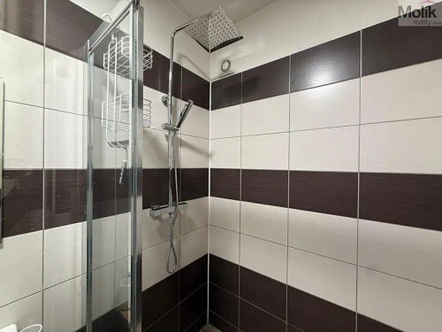 Prodej bytu 3+1 60 m²