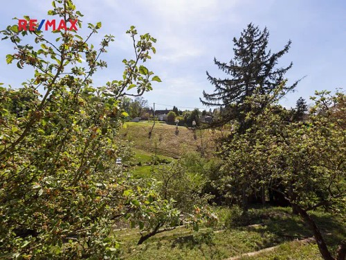 Prodej stavebního pozemku 1537 m²