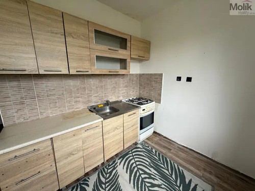 Prodej bytu 2+1 54 m²