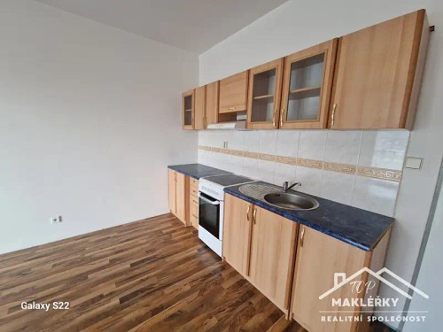 Prodaný byt 1+kk 41 m²