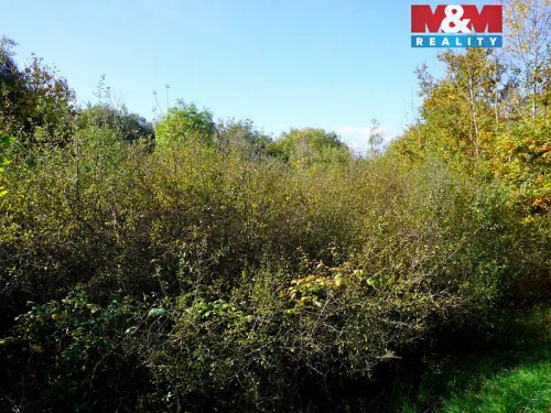 Prodej stavebního pozemku 3689 m²