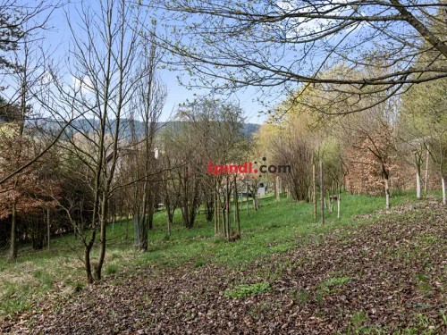 Prodej domu 188 m², pozemek 3565 m²