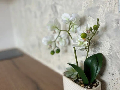 Prodej bytu 1+kk 19 m²