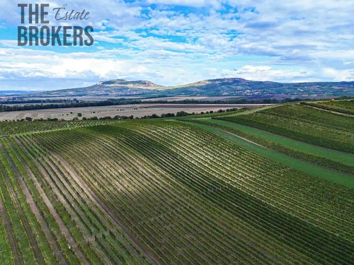 Prodej domu 133 m², pozemek 914 m²