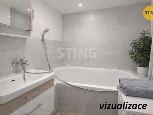 Prodej bytu 1+1 30 m²