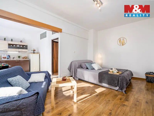 Prodaný byt 1+1 41 m²