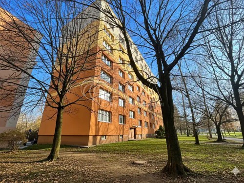 Prodaný  byt 2+1 43 m²