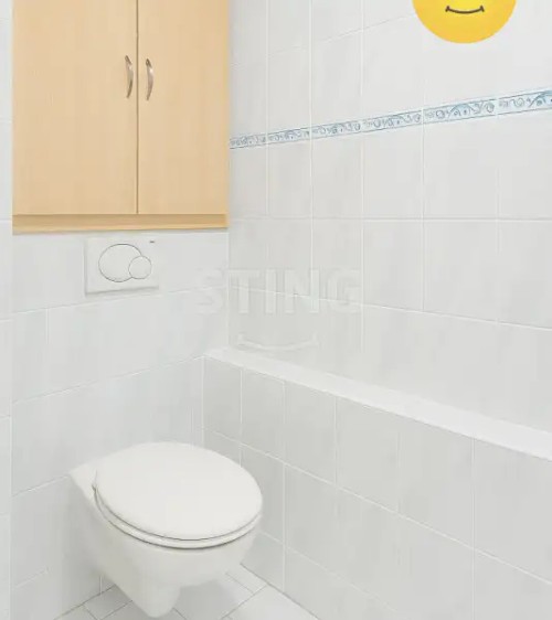 Prodej bytu 2+1 44 m²