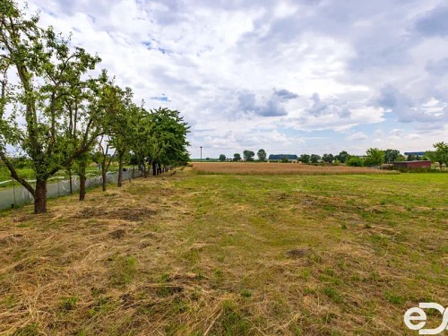 Prodej zemědělské usedlosti 212 m², pozemek 5542 m²