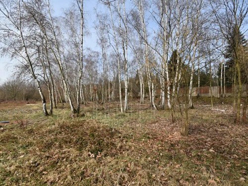 Prodej stavebního pozemku 6184 m²