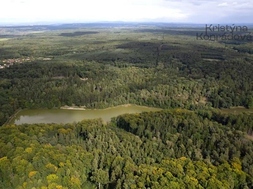 Prodej domu 260 m², pozemek 2877 m²