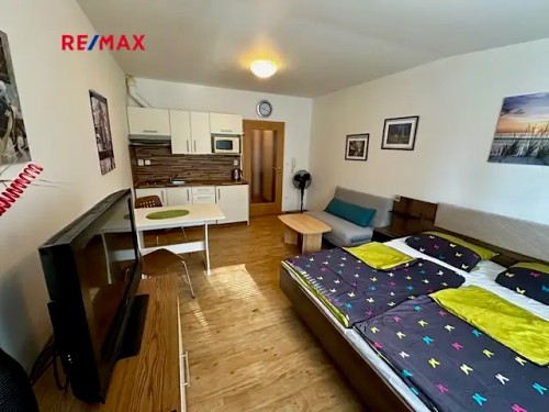 Prodaný byt 1+kk 29 m²