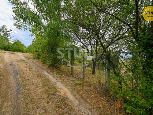 Prodej chaty 63 m², pozemek 1597 m²