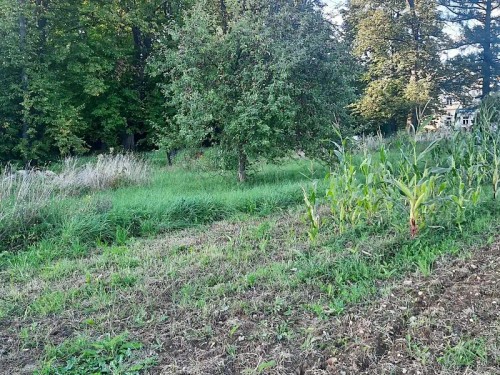 Prodej chaty 16 m², pozemek 1869 m²