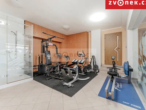 Prodej vily 540 m², pozemek 1700 m²