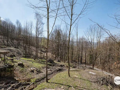 Prodej chalupy 120 m², pozemek 64360 m²