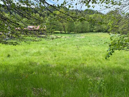 Prodej stavebního pozemku 1131 m²