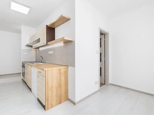 Prodaný  byt 3+1 62 m²