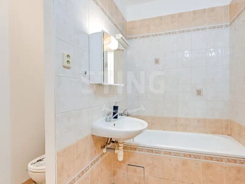 Prodej bytu 2+1 43 m²