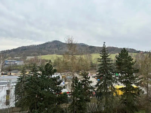 Prodaný  byt 1+1 36 m²