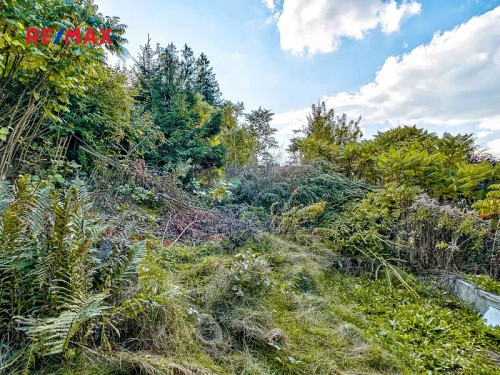 Prodej chaty 50 m², pozemek 735 m²