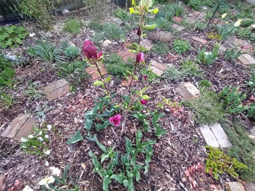 Prodej bytu 2+1 75 m²