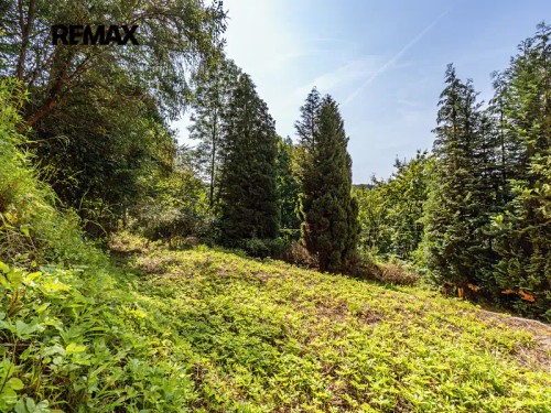 Prodej domu 533 m², pozemek 2105 m²