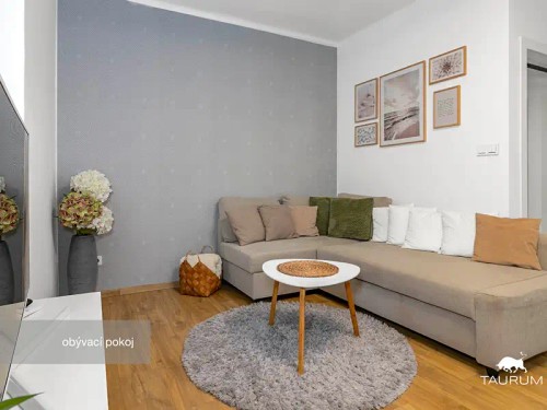 Prodej bytu 2+1 54 m²