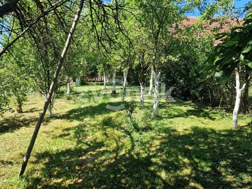 Prodej domu 130 m², pozemek 1303 m²
