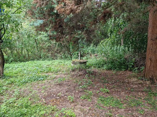Prodej domu 78 m², pozemek 91 m²