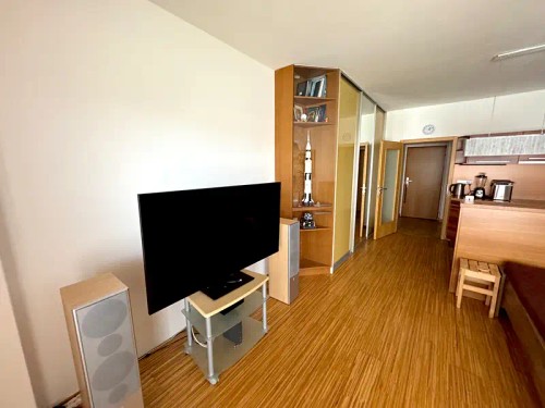 Prodaný byt 1+kk 34 m²
