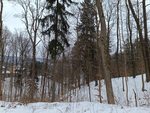 Prodaný byt 2+1 54 m²