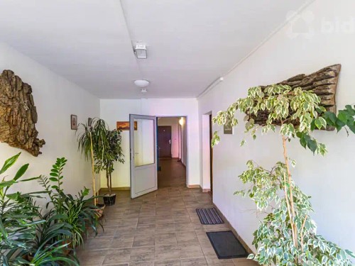Prodej bytu 3+1 62 m²