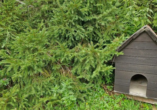 Prodej chaty 82 m², pozemek 832 m²
