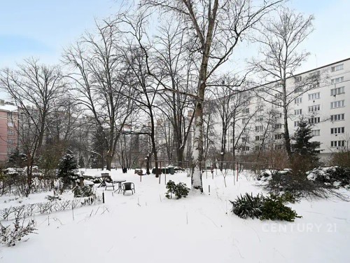 Prodaný byt 1+kk 50 m²