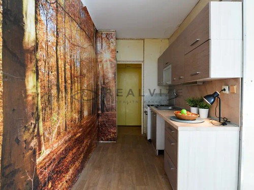 Prodaný byt 1+1 50 m²