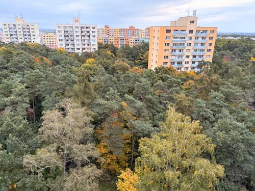 Prodaný byt 2+1 53 m²