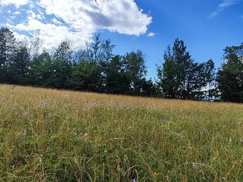 Prodej stavebního pozemku 1437 m²